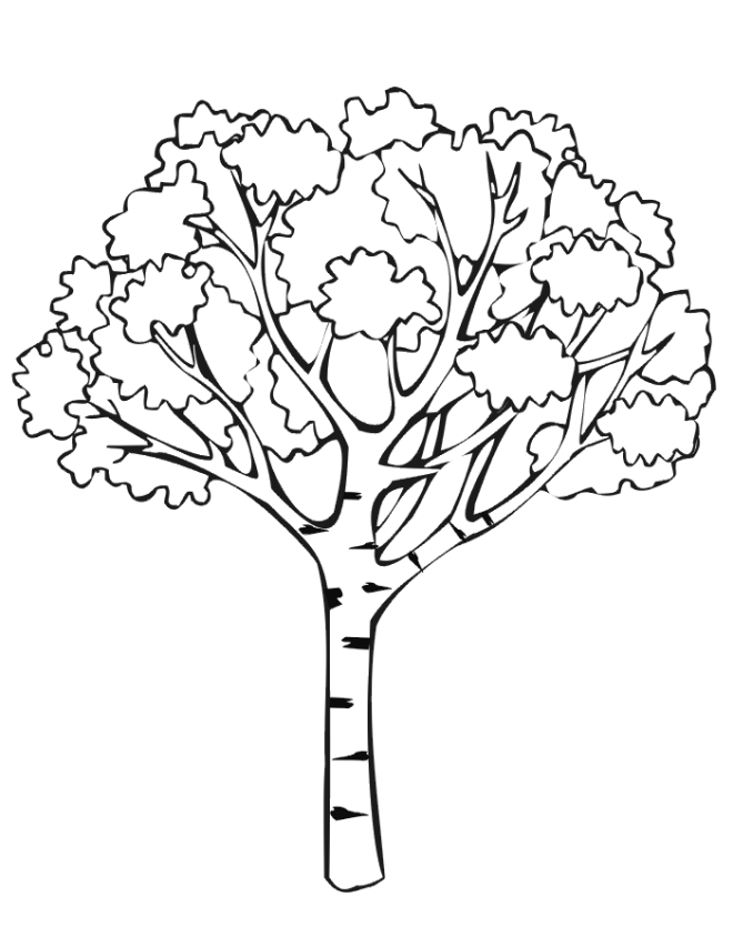 Free Printable Fall Coloring Page: autumn tree