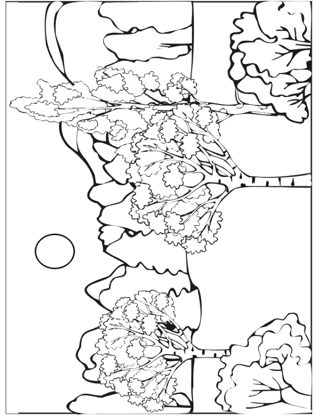 Free Printable Fall Coloring Page: autumn trees