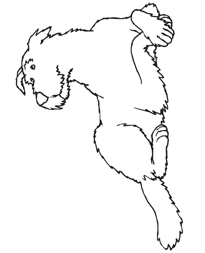 Dog Coloring Page: dog laying down