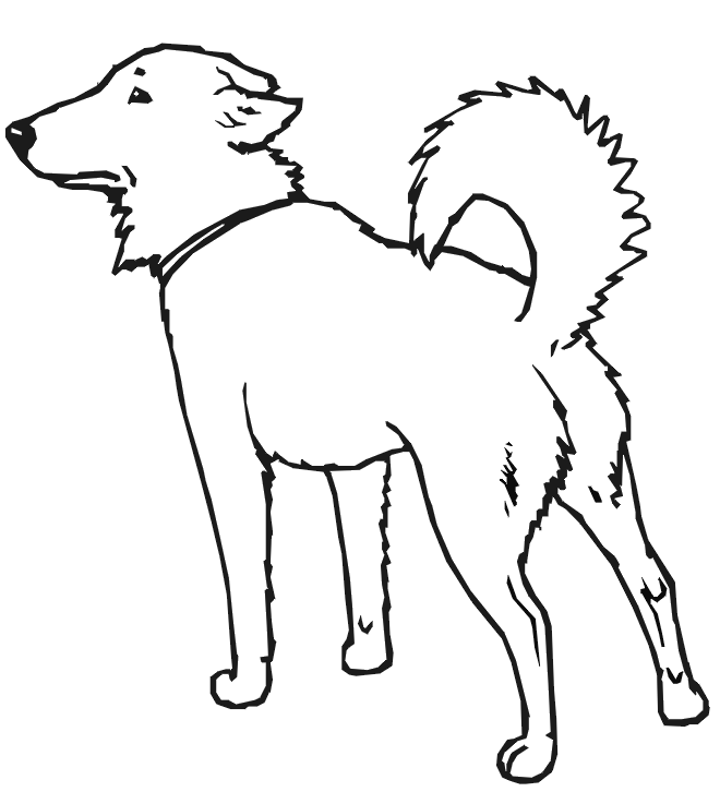Dog Coloring Page: Standing dog