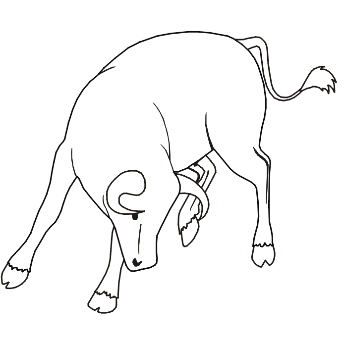 Farm animal coloring page of a bull.