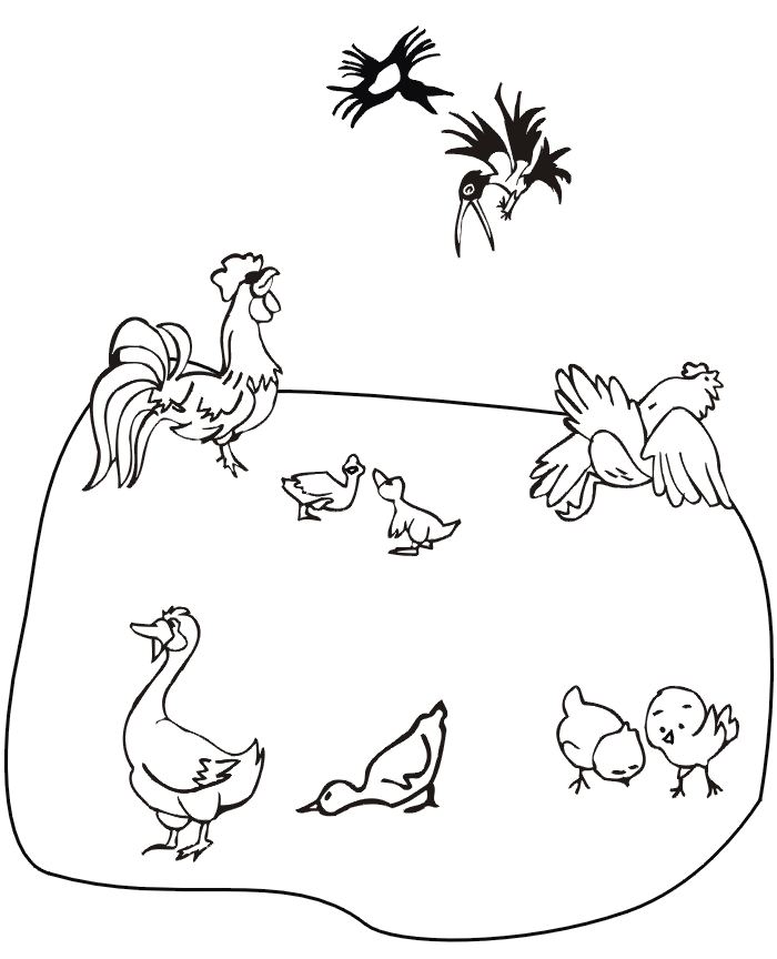 Farm animal coloring page of chicken, duck, and crows.