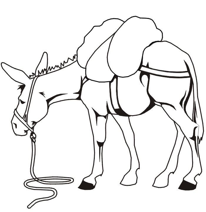 Farm animal coloring page of a mule.
