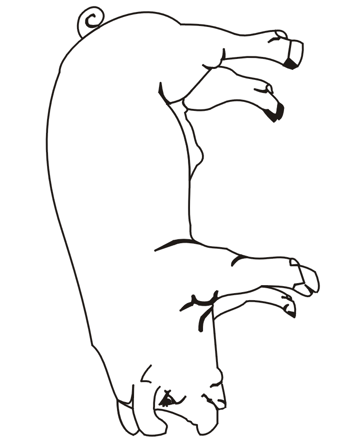 Farm animal coloring page of a pig.