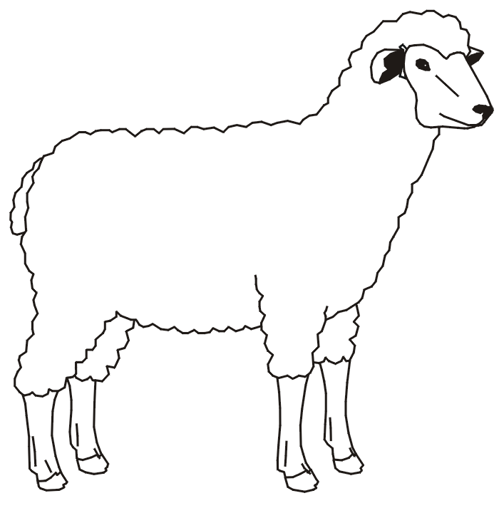 Farm animal coloring page of a sheep.
