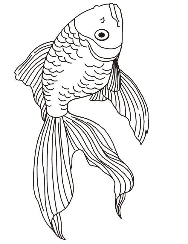 Realistic Goldfish coloring page