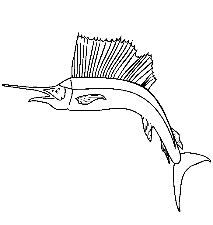 Fish Coloring Page of a sailfish