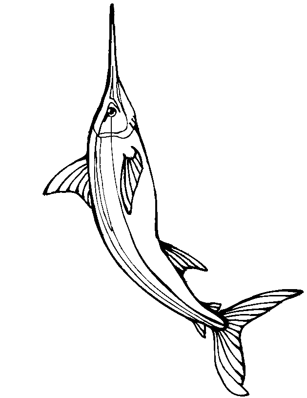 Fish Coloring Page of a swordfish