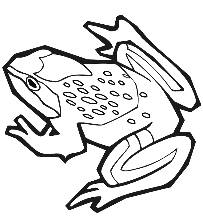 Frog Coloring Picture