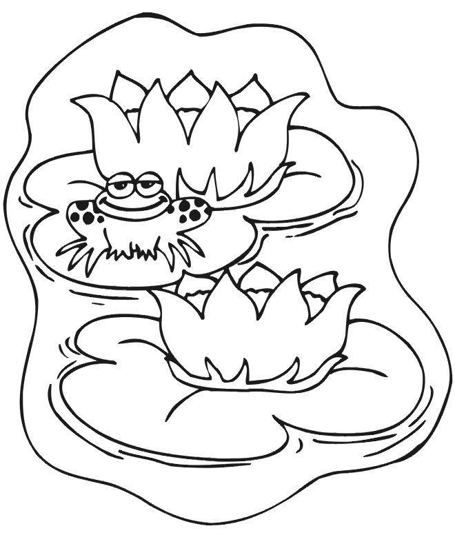 Frog Coloring Picture: frog on lily pad