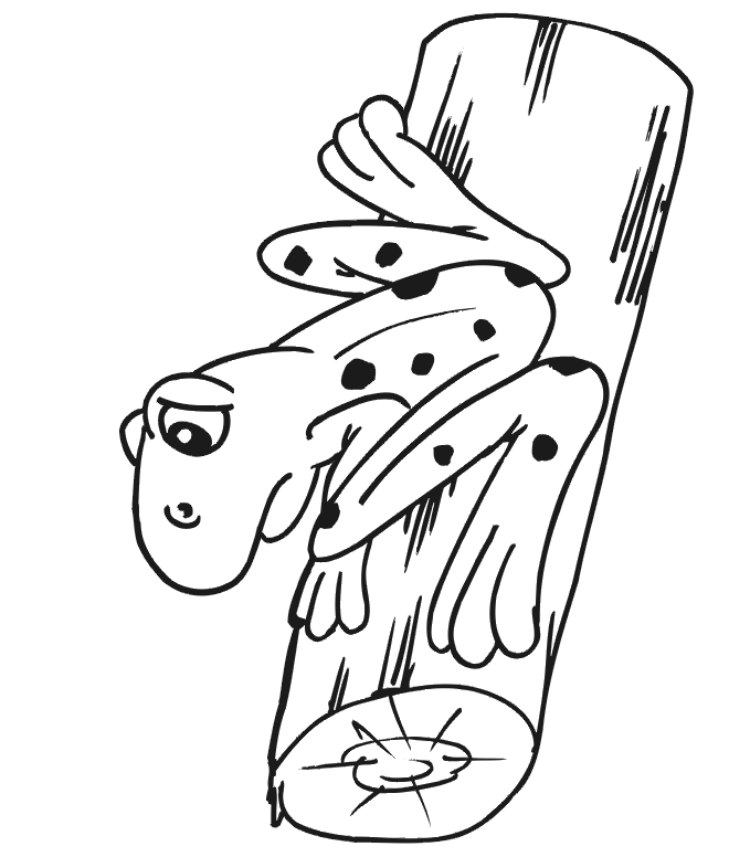 Frog Coloring Picture: frog sitting on log