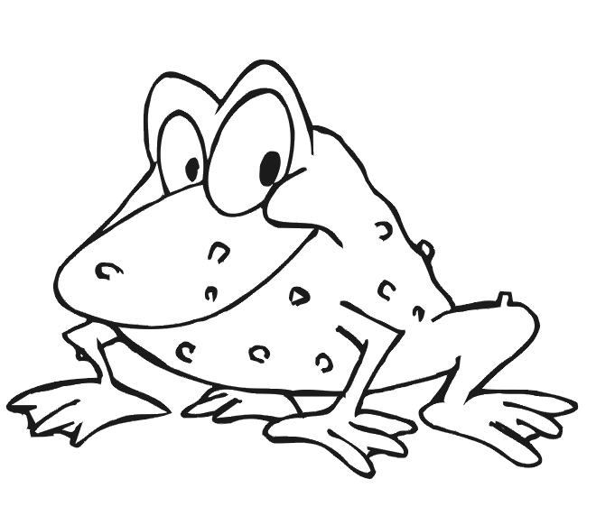 Frog Coloring Picture: Warty toad