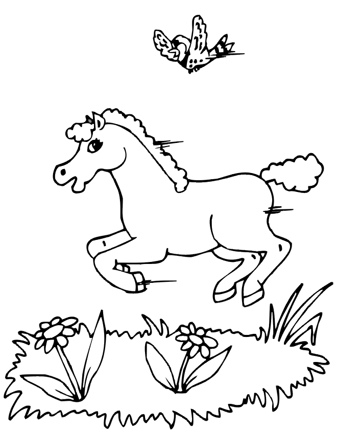 free bird and horse coloring page