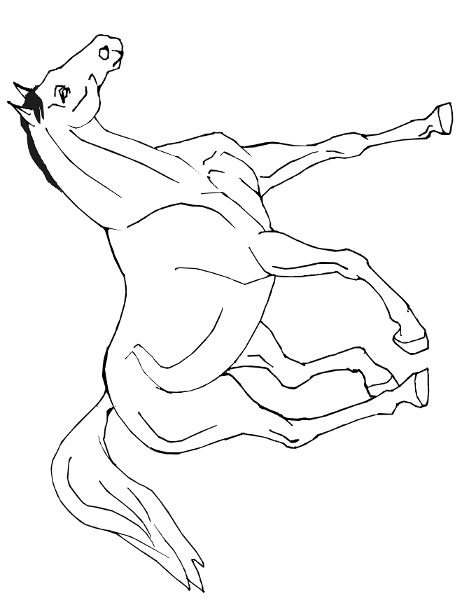Horse Coloring Page | Realistic Horse