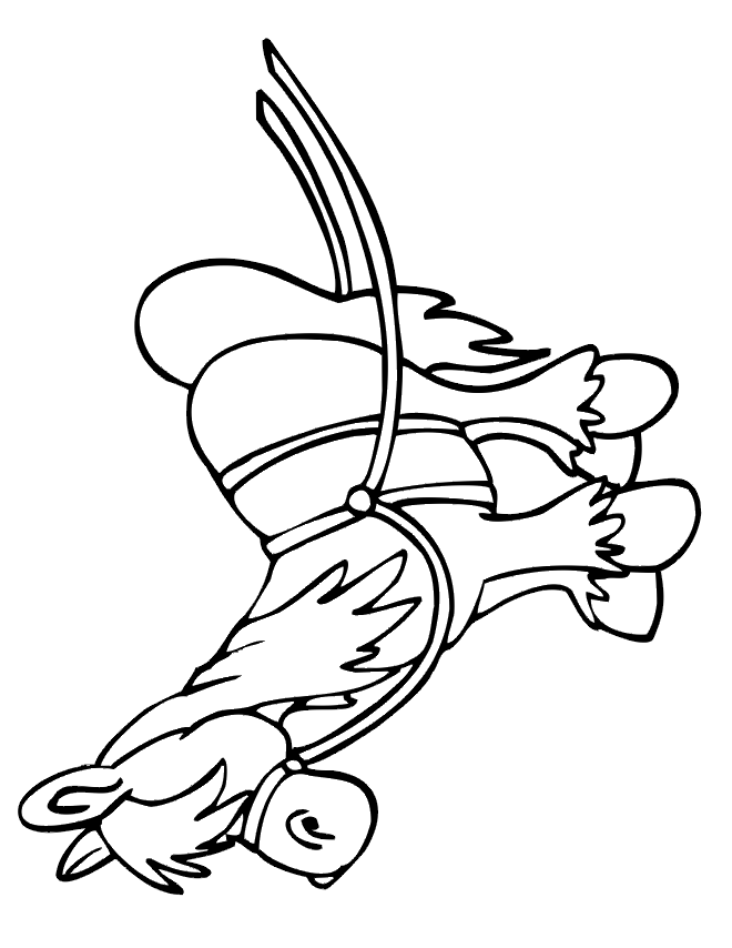 saddlebred horse coloring pages - photo #21