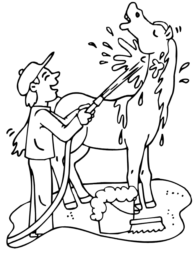 free horse coloring page: horse being washed