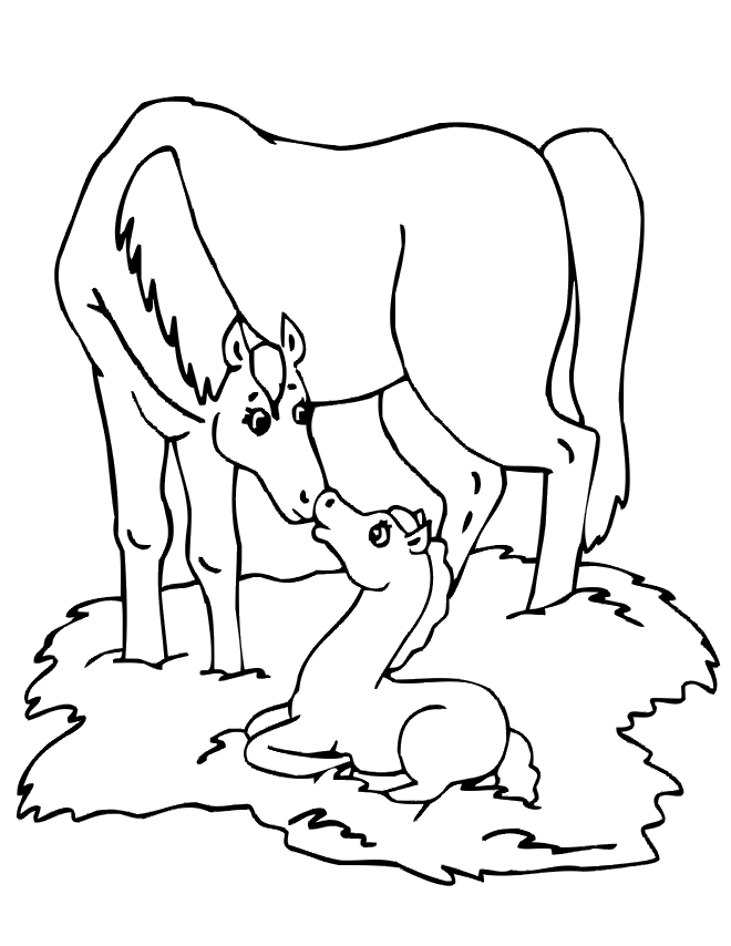 colt printable coloring pages - photo #29