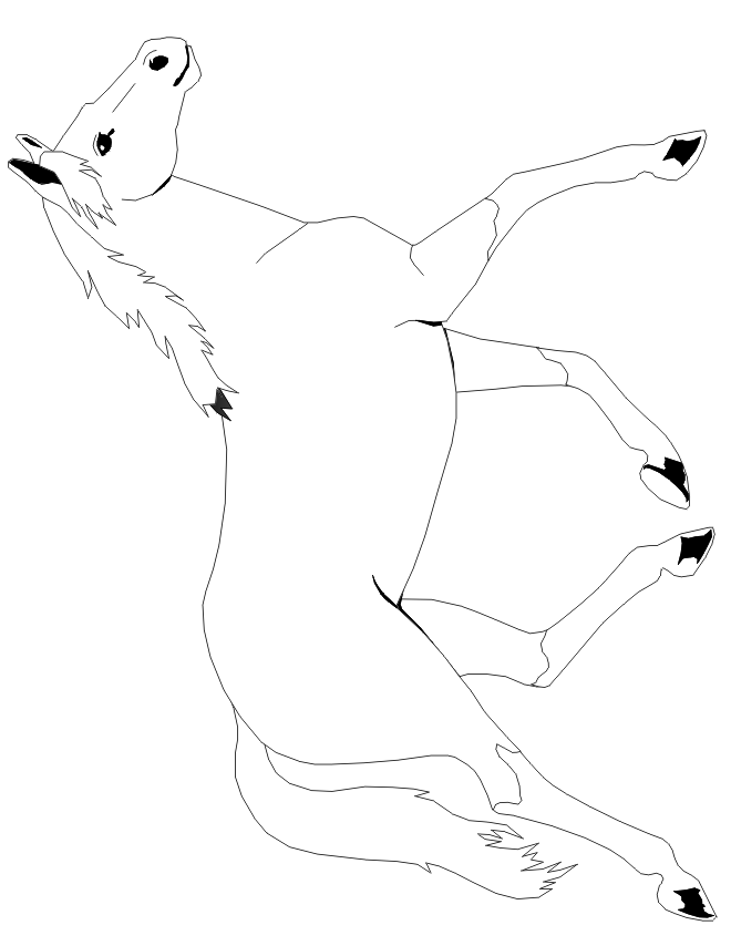 free horse coloring page: trotting horse