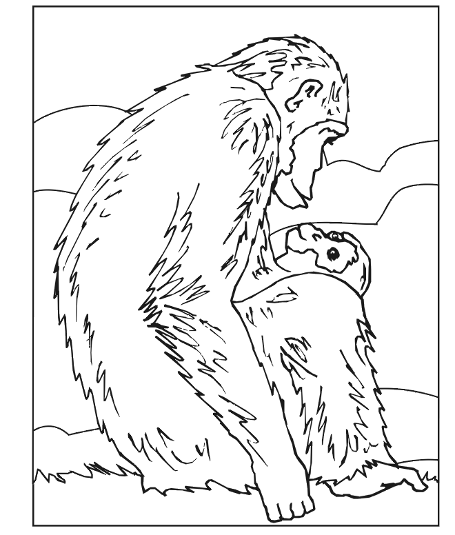 Monkey coloring page: chimp with baby