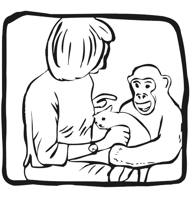 Monkey coloring page: chimp holding cat