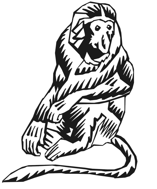Stylized Proboscis Monkey coloring page