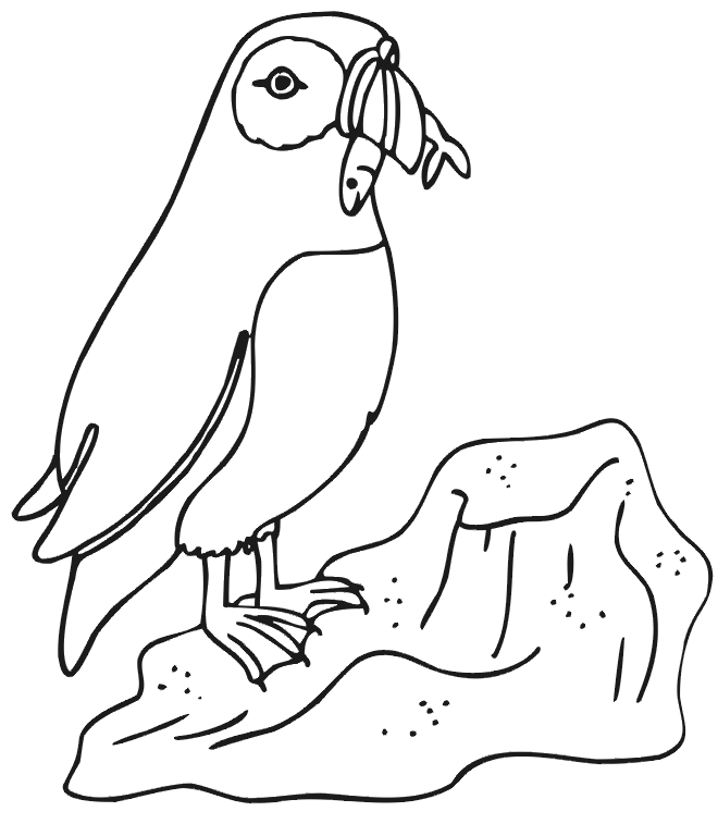 Penguin eating fish coloring page