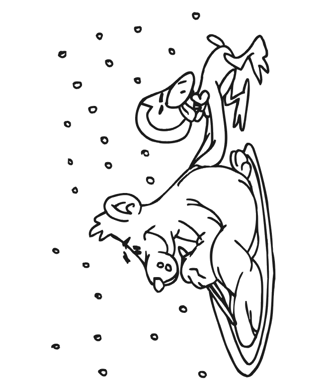 Penguin and Polar Bear coloring page