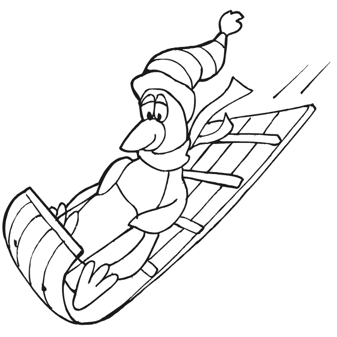 Sledding Penguin coloring page