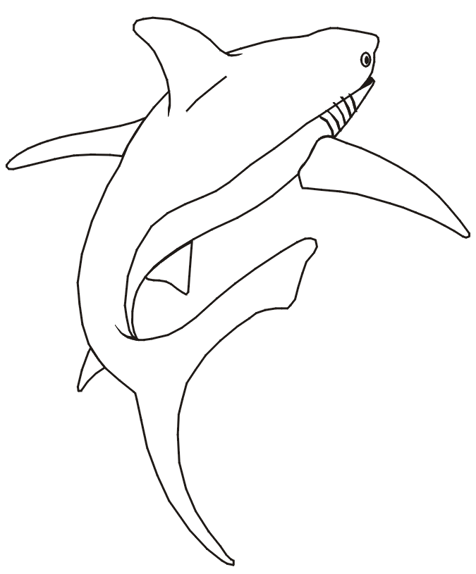 Shark coloring page - swimming away