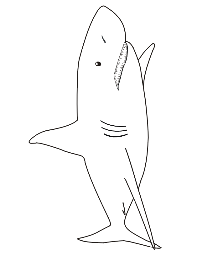 Shark coloring page - side view