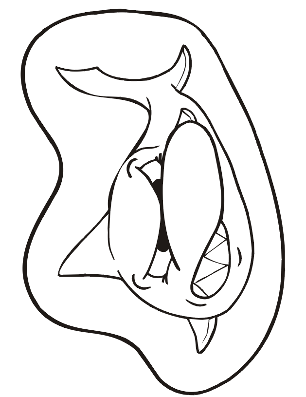 Front view of shark - coloring page