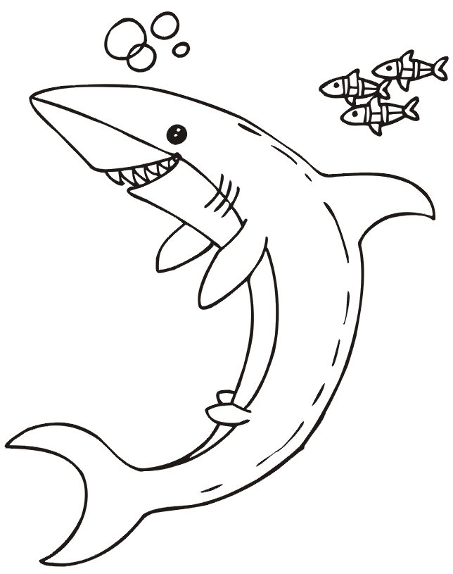 Shark coloring page - swimming with fish