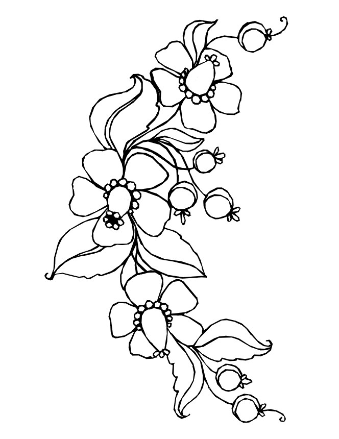 Spring Flowers - a spring coloring sheet