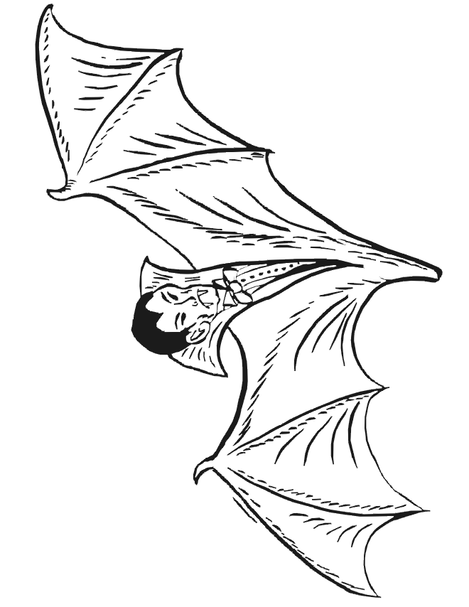 Vampire bat coloring page