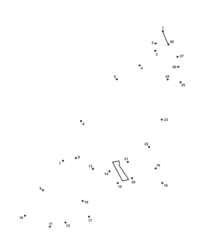 Bird Dot to Dot Number Activity Page