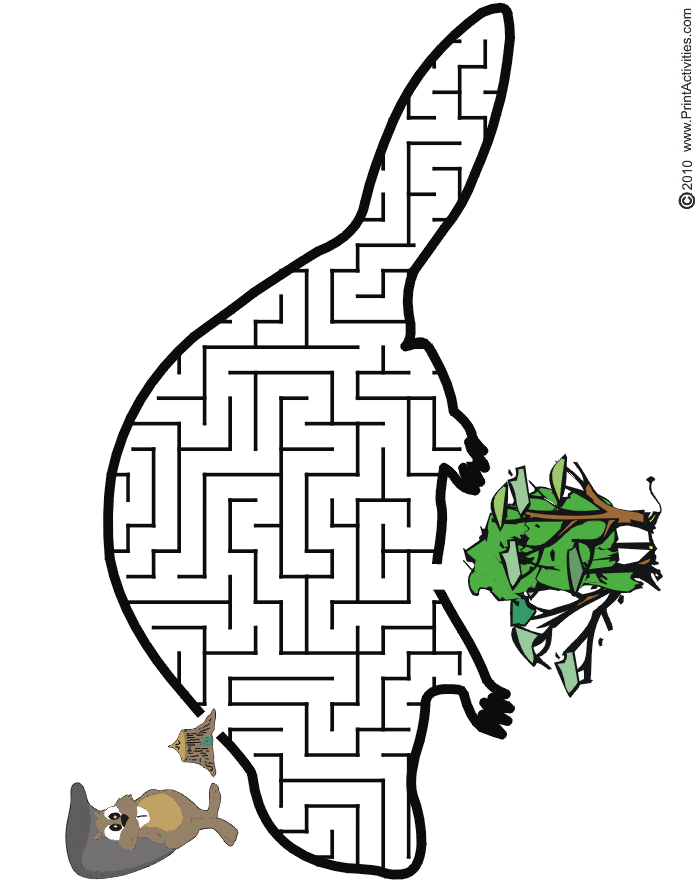 Beaver Maze: Guide the beaver to the trees.