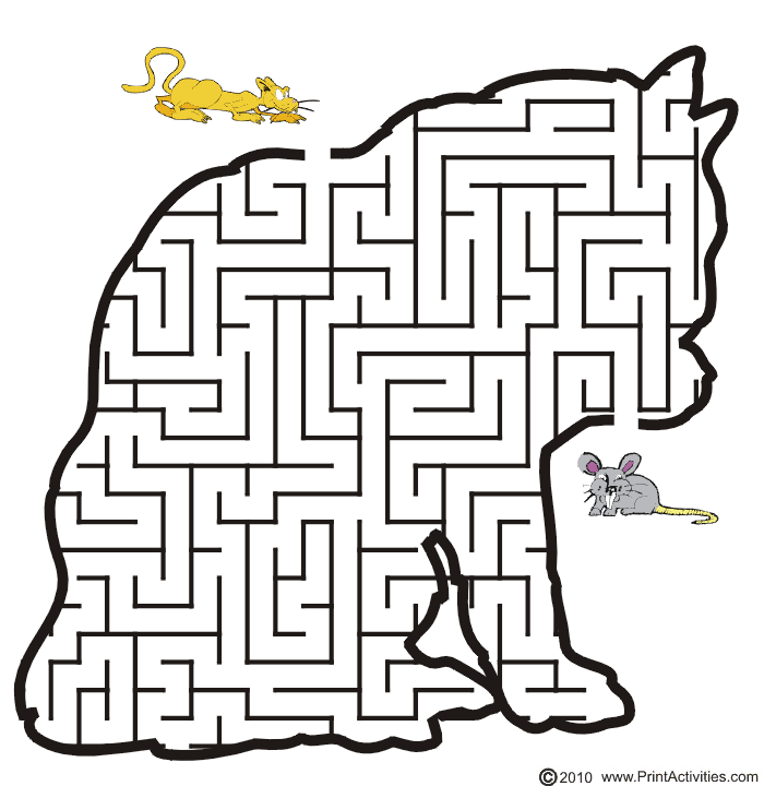 Cat Maze: Help the cat catch the mouse