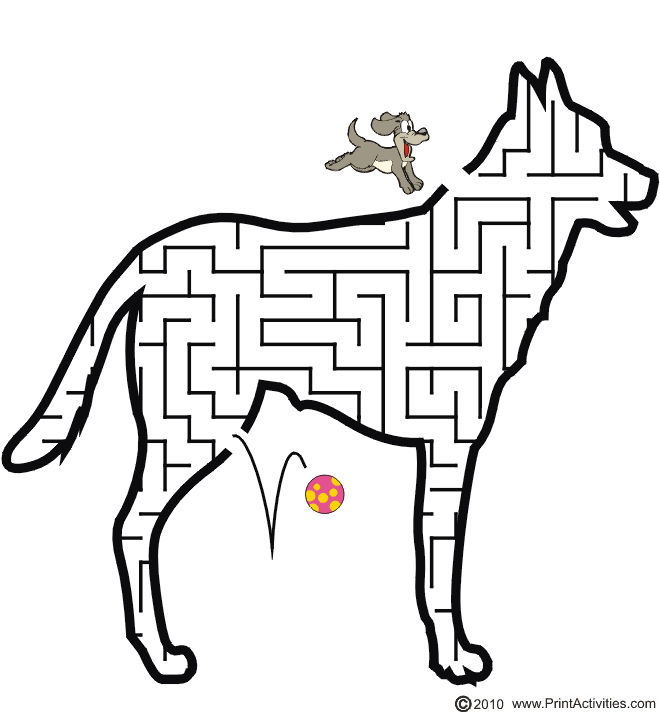 Dog Maze: Help the dog find its ball