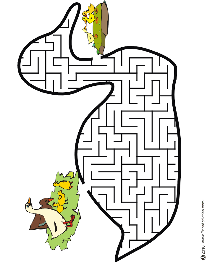 Duck Maze: Help the duck thru the maze to find her ducklings.