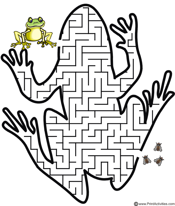 Frog Maze: Teach the Frog the way through the maze to the flies