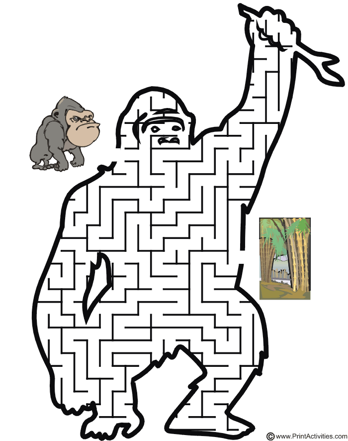 Gorilla Maze: Help the Gorilla through the maze to get to the jungle.