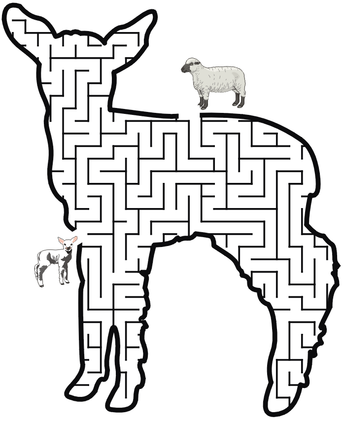 Lamb Maze: Guide the lamb thru the maze to its mother.