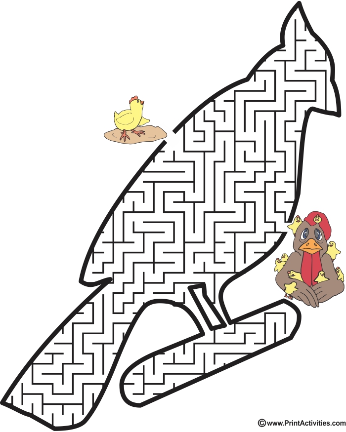 Bird Maze: Guide the chick to her family.