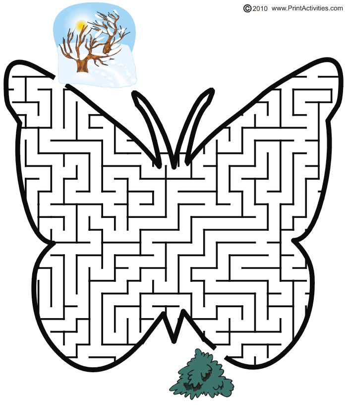 Butterfly Maze: Go from cold to warm for the butterfly to survive.