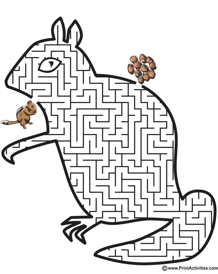 Chipmunk Maze: Help the chipmunk find the nuts.